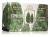 Натуральное мыло ei Colli Fiorentini Cypress Regenerating 250 Г Натуральное мыло ei Colli Fiorentini Cypress Regenerating 250 Г